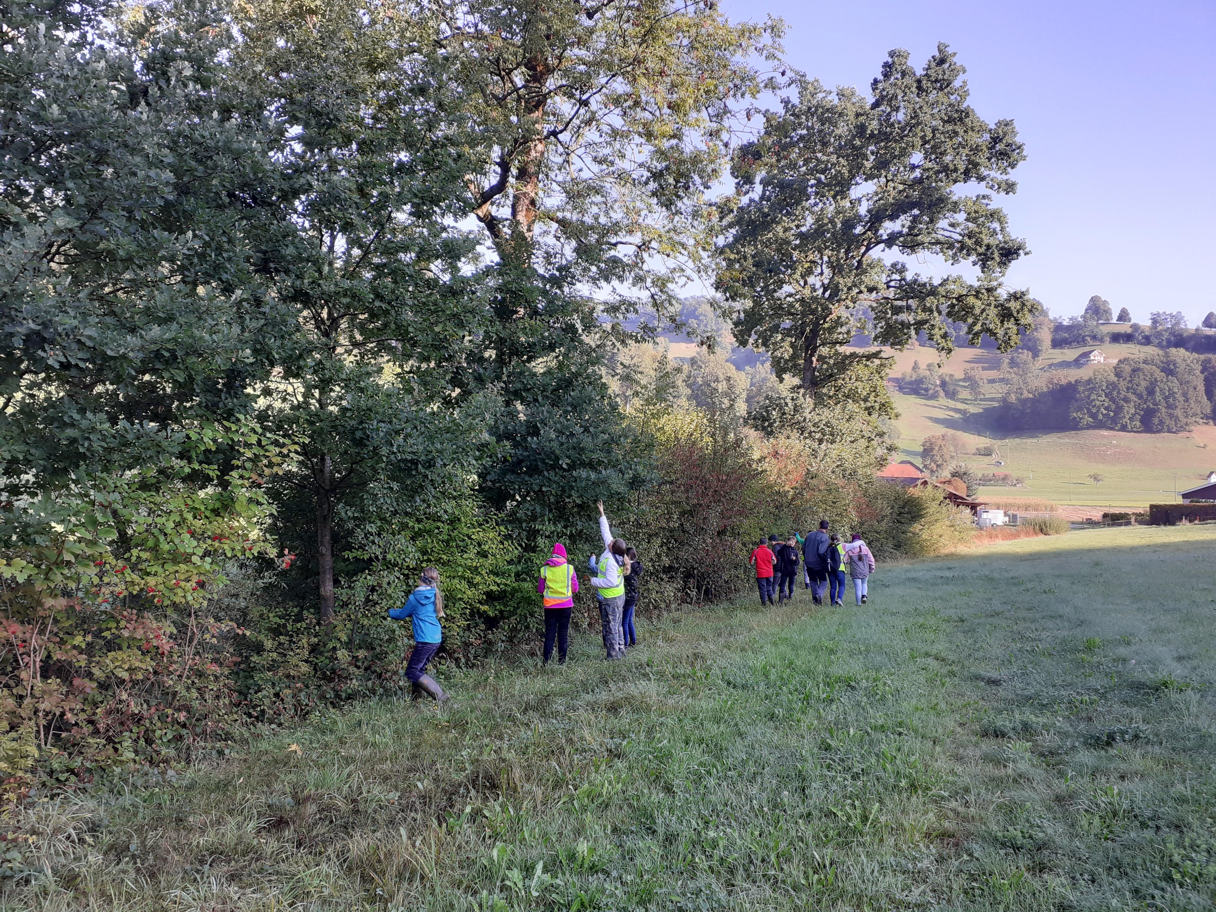 SchuB 5.6. Kl. Alberswil Biodiversität I